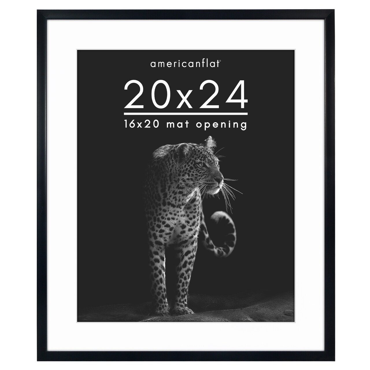 Americanflat Gallery-Style Picture Frame with Mat - Showcase Artwork, Prints, and Photos - Shatter Resistant Glass - Hanging Hardware with Drywall Anchor